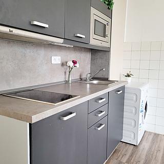 Pronájem bytu 1+kk a garsoniéry 25 m² Brno Žabovřesky, Vychodilova