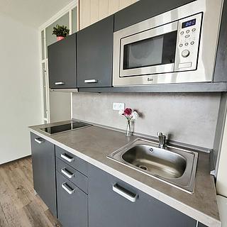 Pronájem bytu 1+kk, garsoniery 26 m² Brno