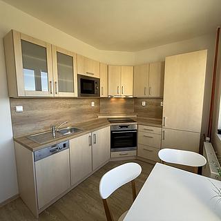 Pronájem bytu 2+1 58 m² Tábor, Moskevská