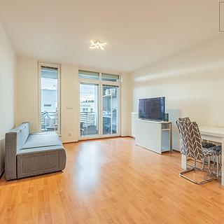 Pronájem bytu 2+kk 53 m² Praha