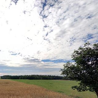 Prodej komerčního pozemku 4425 m² Zavidov