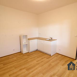 Prodej bytu 1+kk a garsoniéry 23 m² Chlum u Třeboně