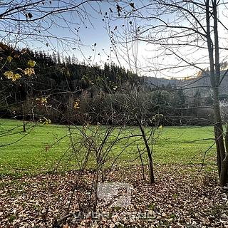 Prodej louky 2 409 m² Jesenný