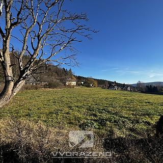 Prodej zemědělské půdy 2 462 m² Lučany nad Nisou