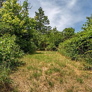 Prodej zahrady 529 m² Brno Komín, Branka