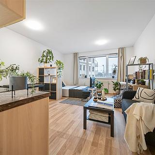 Prodej bytu 1+kk a garsoniéry 32 m² Brno Zábrdovice, Vranovská