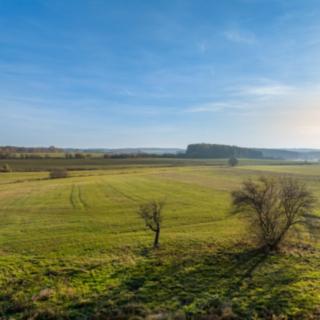 Prodej stavební parcely 1 157 m² Opařany Skrýchov u Opařan