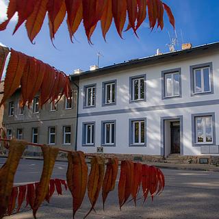 Prodej rodinného domu 386 m² České Velenice, Vitorazská