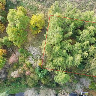 Prodej lesa 986 m² Strmilov, Kunžatecká