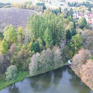 Prodej lesa 986 m² Strmilov, Kunžatecká