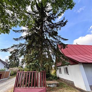 Prodej chalupy 81 m² Lukavice