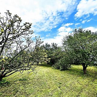 Prodej rodinného domu 146 m² Velké Petrovice Petrovice