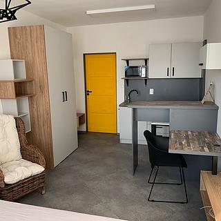 Pronájem bytu 1+kk a garsoniéry 25 m² Havířov Město, E. F. Buriana