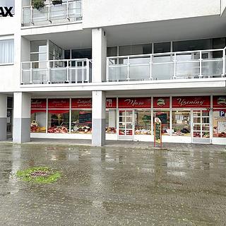 Pronájem obchodu 311 m² Havířov Město, E. F. Buriana