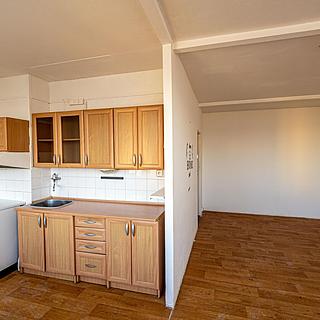 Pronájem bytu 1+1 33 m² Most, Javorová