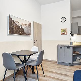 Prodej bytu 2+kk 35 m² Benešov nad Černou Černé Údolí