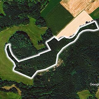 Prodej lesa 36 548 m² Dobré Hlinné