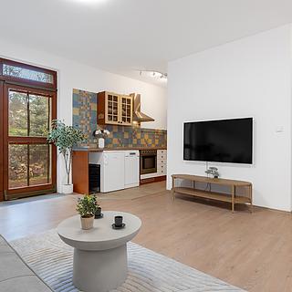 Prodej bytu 1+kk a garsoniéry 43 m² Brno Štýřice, Červený kopec