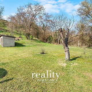 Prodej zahrady 3000 m&sup2; Nový Šaldorf-Sedlešovice