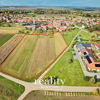 Prodej stavební parcely 12172 m&sup2; Brod nad Dyjí