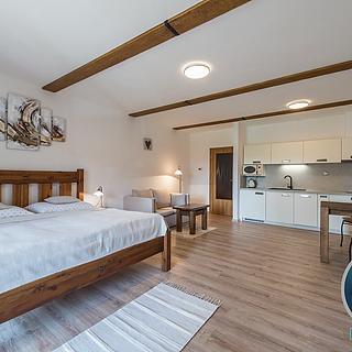 Prodej bytu 1+kk, garsoniery 46 m&sup2; Lipno nad Vltavou