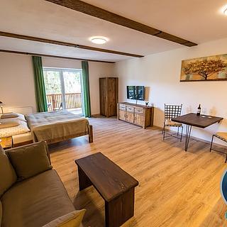 Prodej bytu 1+kk, garsoniery 46 m&sup2; Lipno nad Vltavou