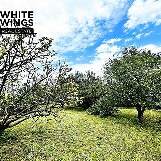 Prodej chalupy 223 m² Velké Petrovice Petrovice