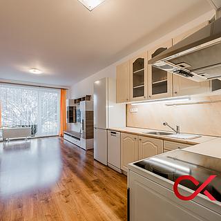 Pronájem bytu 2+kk 66 m² Říčany, Na Fialce