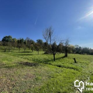 Prodej zahrady 2 527 m² Bořenovice