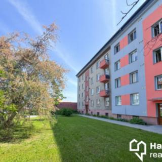 Prodej bytu 1+kk a garsoniéry 25 m² Prostějov, Budovcova