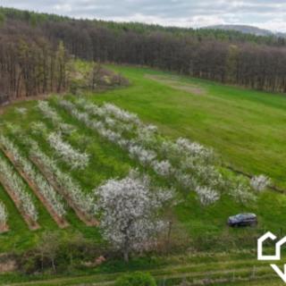 Prodej zahrady 4 045 m² Bělkovice-Lašťany