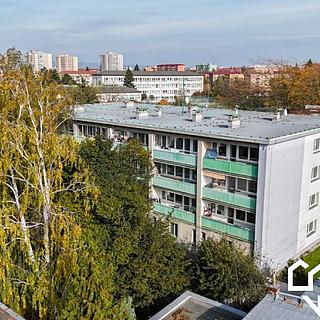 Pronájem bytu 1+kk, garsoniery 43 m² Přerov