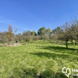 Prodej zahrady 2 527 m² Bořenovice