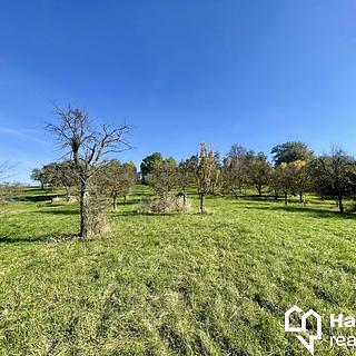 Prodej zahrady 2 527 m² Bořenovice