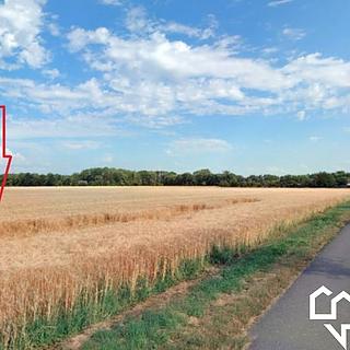 Prodej zemědělské půdy 4 912 m² Litovel