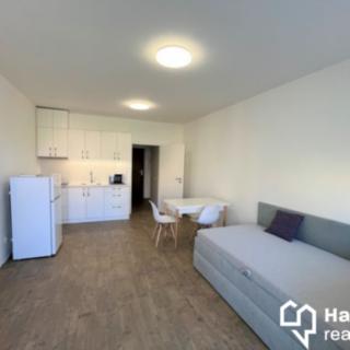 Pronájem bytu 1+kk a garsoniéry 30 m² Olomouc, Wolkerova