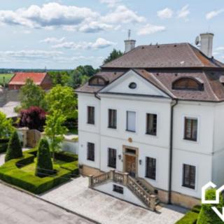Prodej vily 300 m² Velký Týnec