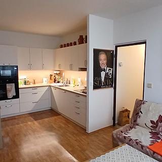 Prodej bytu 2+kk 45 m² Brno Bohunice, Neužilova