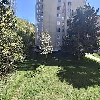 Prodej bytu 3+1 63 m&sup2; Brno