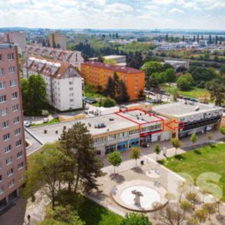 Pronájem kanceláře 142 m²