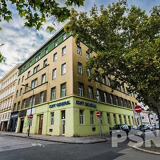 Pronájem kanceláře 30 m² Brno -město, Dvořákova