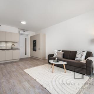 Pronájem bytu 1+kk a garsoniéry 33 m² Praha Žižkov, Tetauerova