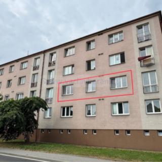 Pronájem bytu 2+1 550 m² Česká Třebová, Riegrova