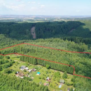 Prodej lesa 31938 m² Česká Třebová