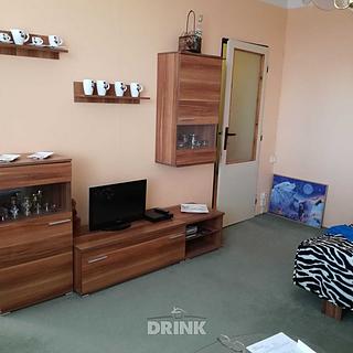 Pronájem bytu 1+1 29 m² Bělá pod Bezdězem, Tyršova