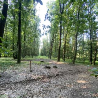 Prodej lesa 947 m² Roštění