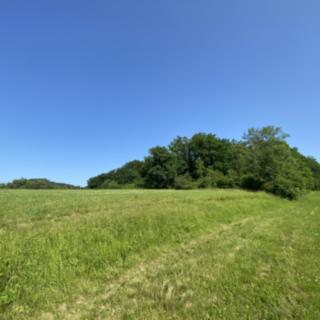 Prodej lesa 2 228 m² Roštění