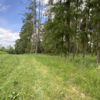 Prodej zemědělské půdy 117 m² Milavče