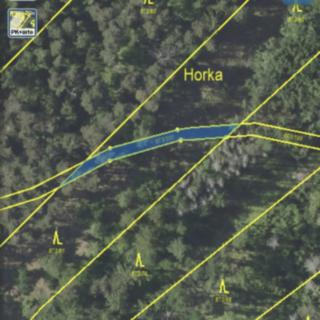 Prodej lesa 189 m² Kladruby