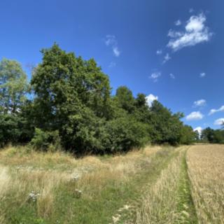 Prodej ostatních pozemků 819 m² Libina